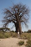 TANZANIA - Lake Eyasi - 01 Baobab